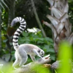 Long tail keywords zijn een goede manier om te scoren in zoekmachines